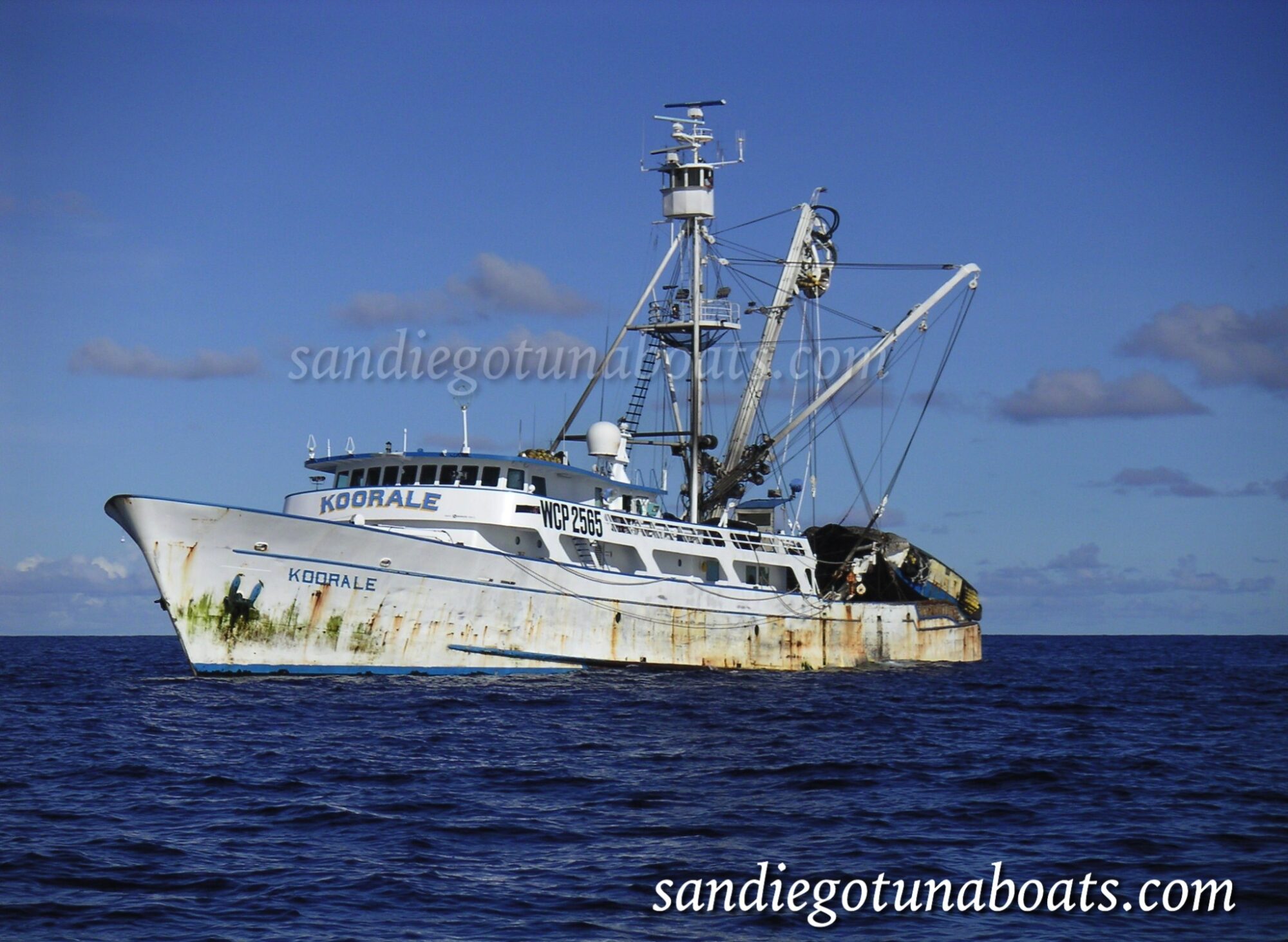 Bold Fleet… San Diego Tuna Boats